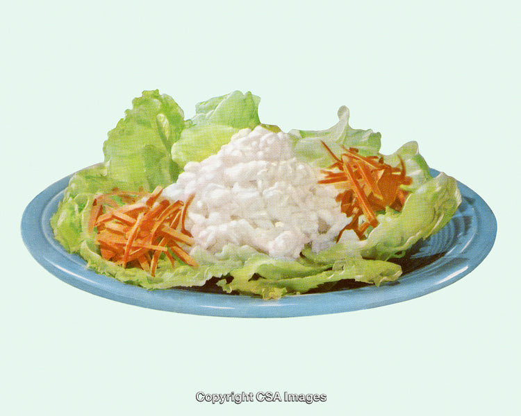 Fresh Garden Salad with Cottage Cheese Highlighted by Retro Print Style