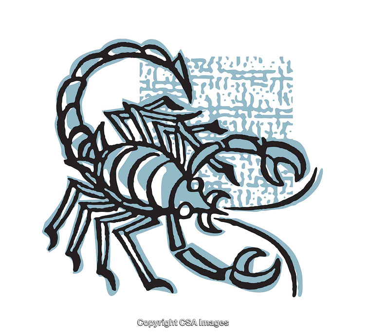Illustrated Scorpion With Blue Background in Unique Art Style