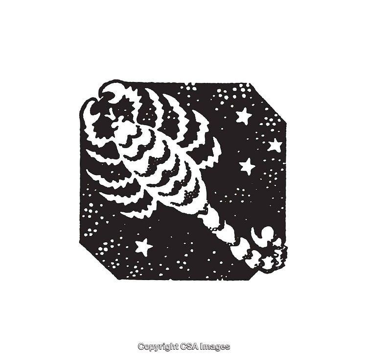 Black and White Line Art Illustration of a Scorpion With Stars