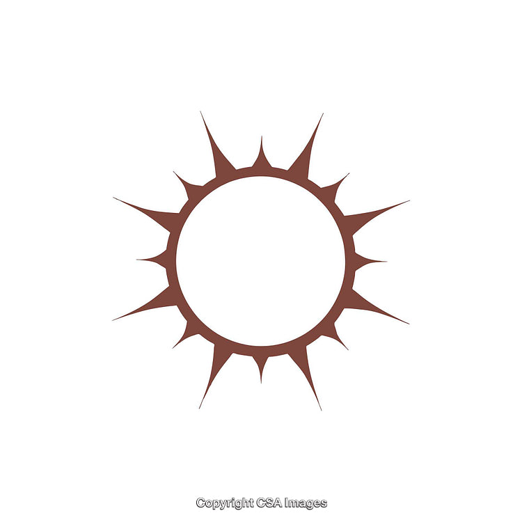 Minimalistic Dark Brown Sunburst Shape Isolated on Clean White Background