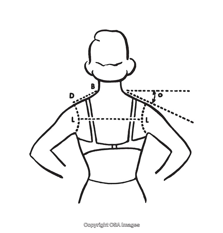 Black And White Diagram Showing Back Measurements With Labels And Lines