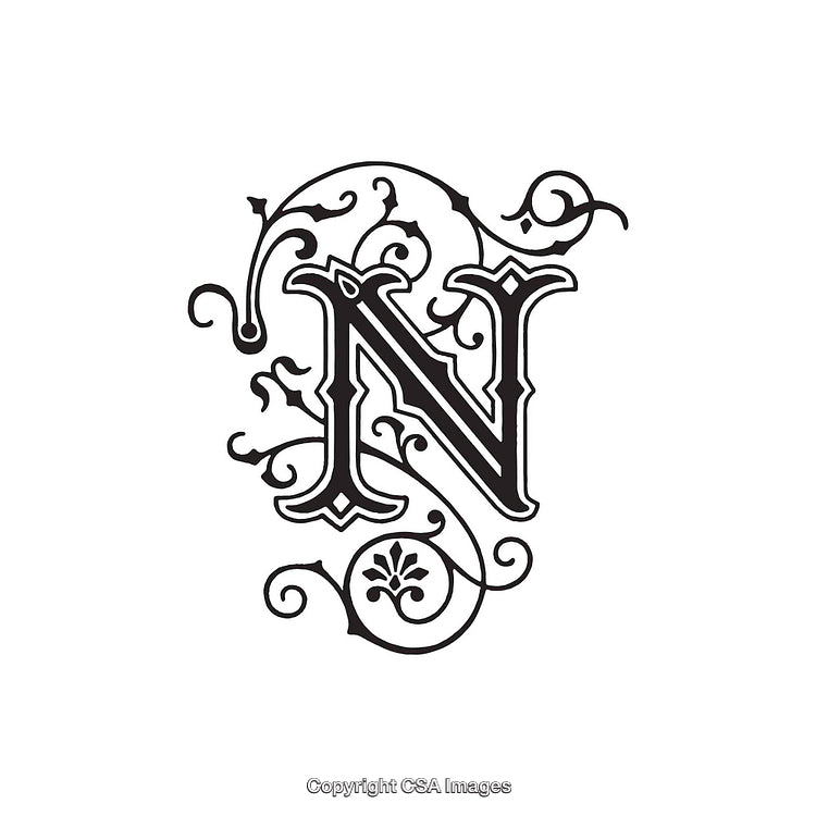 Elegant Ornamental Letter N With Classic Floral Decorations