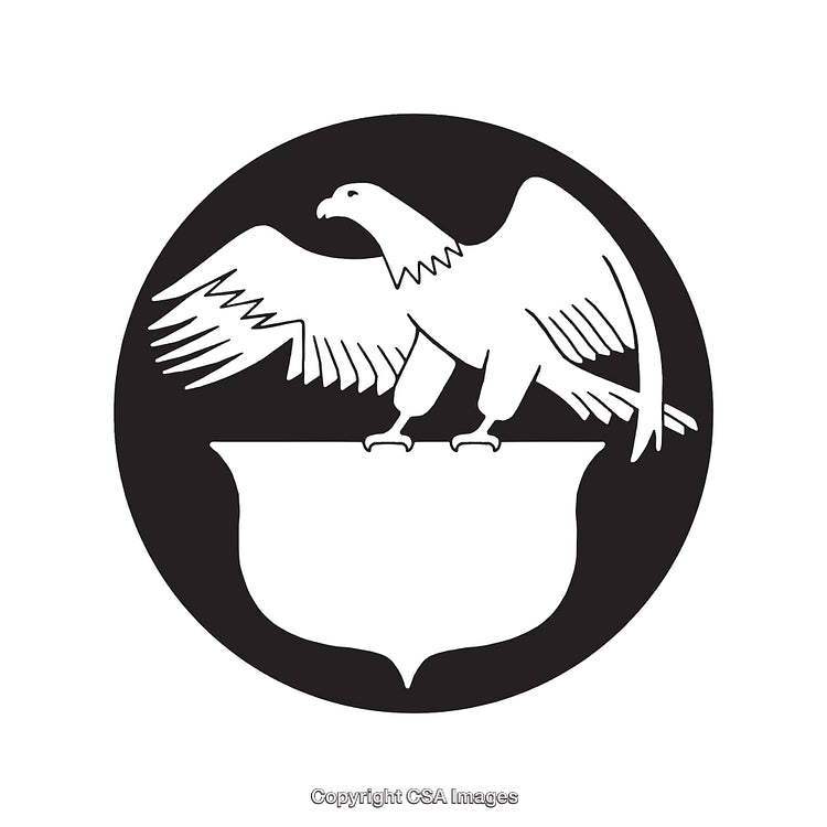 Eagle Silhouette Over Shield in Circle Black and White Design