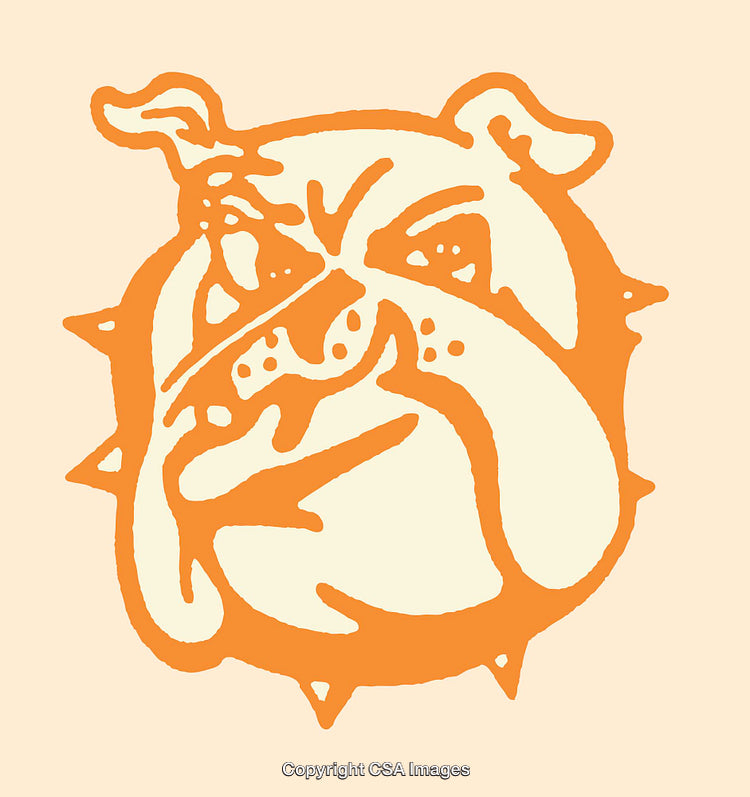 Bold Line Art Illustration of a Bulldog in Vibrant Orange