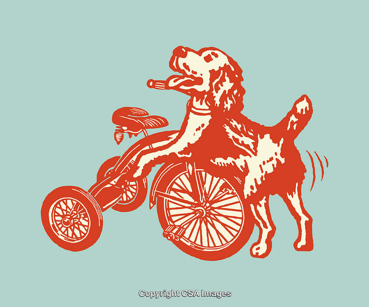 Playful Dog Standing by a Tricycle in Artistic Line Art