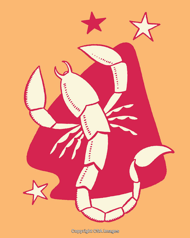 Colorful Illustration of a Scorpion in a Decorative Design