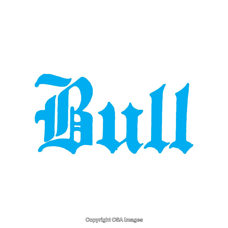 Bold Blue Gothic Typography Featuring the Word Bull on White Background