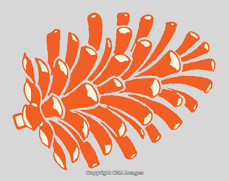 Abstract Orange Cone Illustration with Symmetrical Outline on Gray Background
