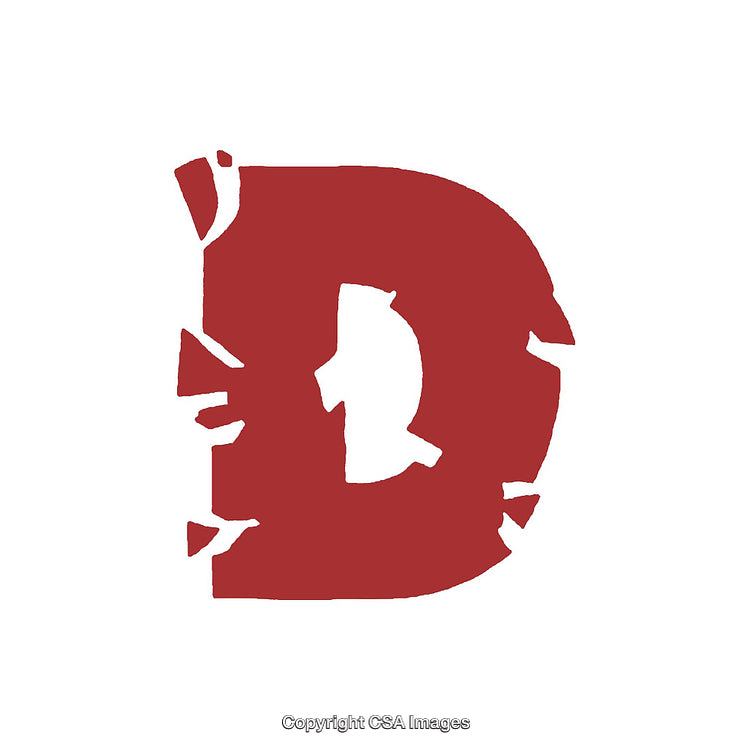 Bold Red Letter D on a White Background with Artistic Details