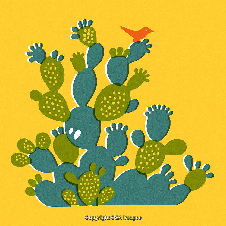 Whimsical Illustration of Cactus and Bird on Vibrant Yellow Background