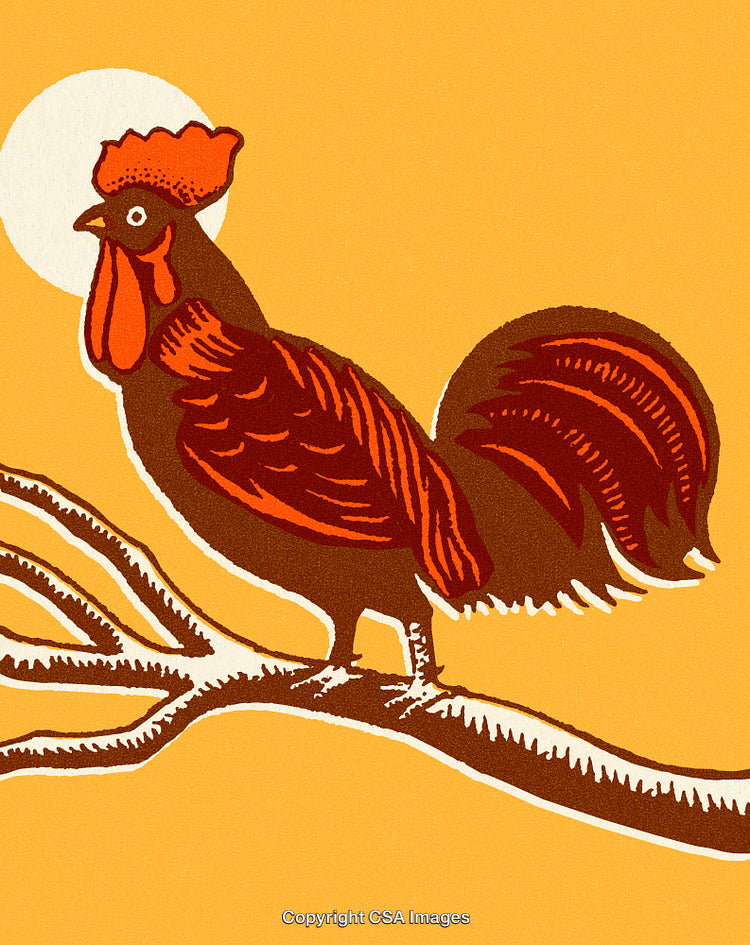 Bright Illustration of a Rooster Perched on a Branch at Sunrise