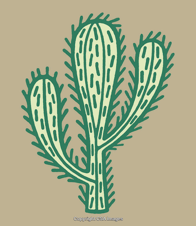Hand-Drawn Cactus Illustration on Neutral Background