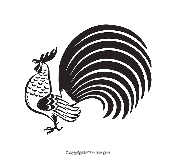 Black And White Line Art Illustration of a Decorative Rooster