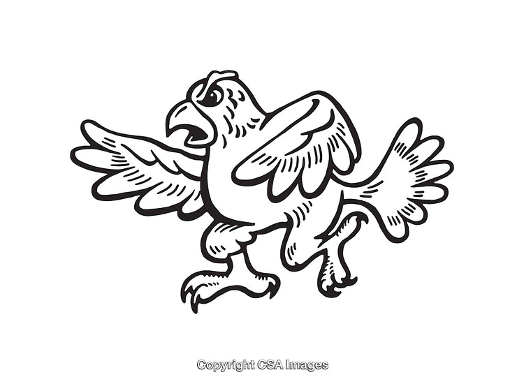 Detailed Black and White Line Art of a Distinctive Bird