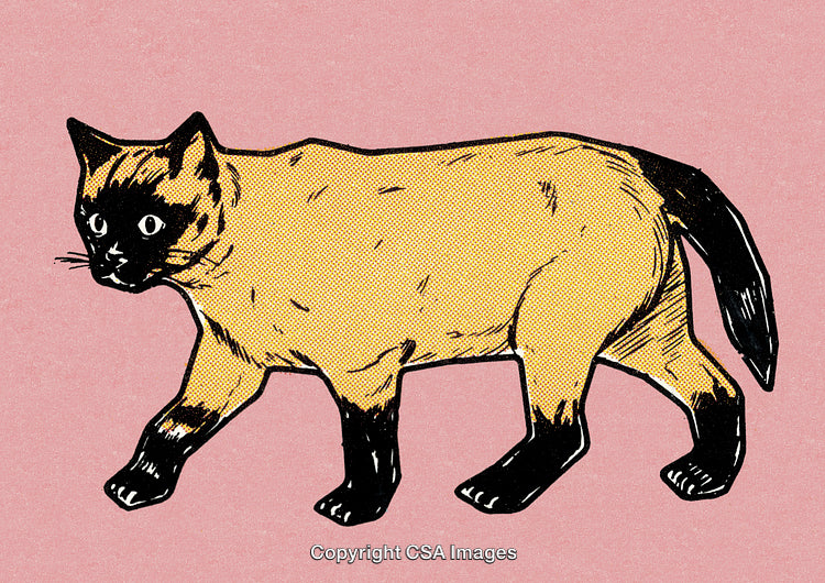 Stylized Illustration of a Cat with Yellow Tones and a Pink Background