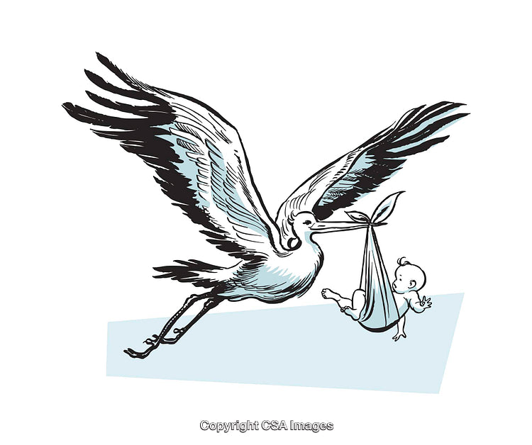 Stork Carrying a Baby Illustration in a Symbolic Delivery Theme