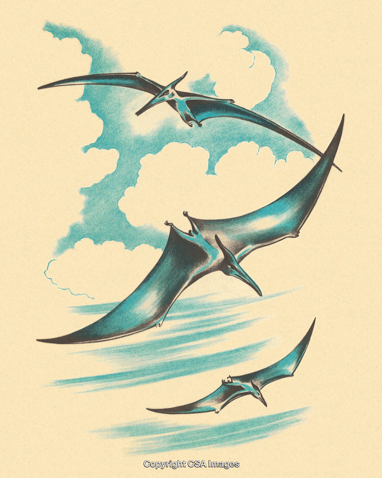 Elegant Illustration of Soaring Pterodactyls Amongst Clouds in Blue Hues