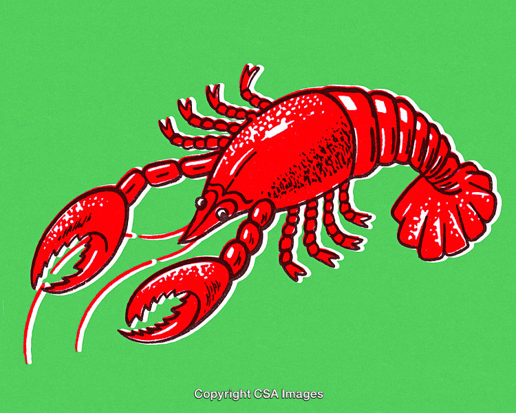 Vibrant Red Lobster Illustration on Solid Green Background for Design or Decor
