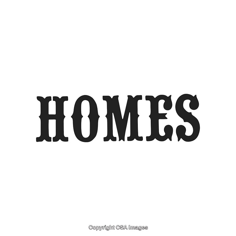 Bold Typography Artwork Featuring the Word Homes in Vintage Black Style
