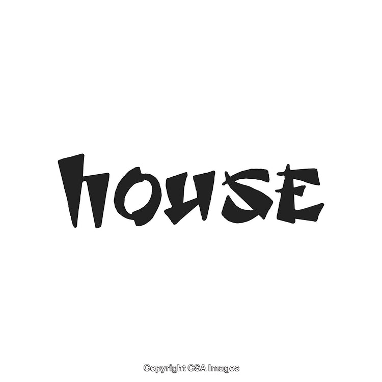 Creative Black Calligraphy Typography Featuring the Word House in Playful Style