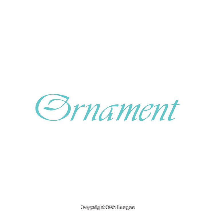 Elegant Calligraphy Typography of the Word Ornament in Light Blue Font