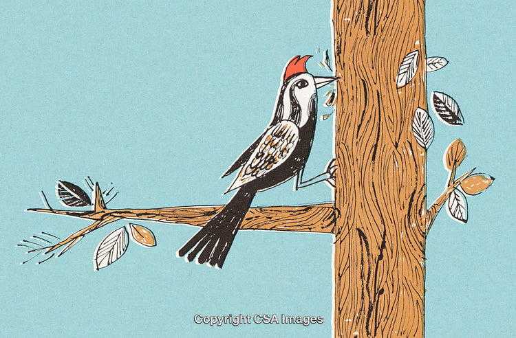 Illustrated Woodpecker Perched on a Tree Branch Pecking Against a Blue Background