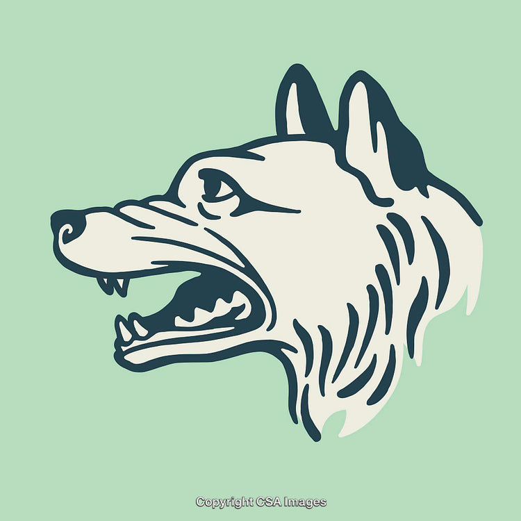 Vector Diagram of a Wolf Head Styled in Line Art Design