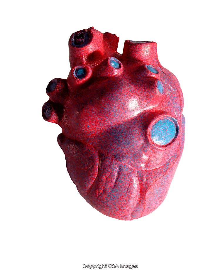 Red Plastic Heart Shaped Toy With Blue Details Isolated on White