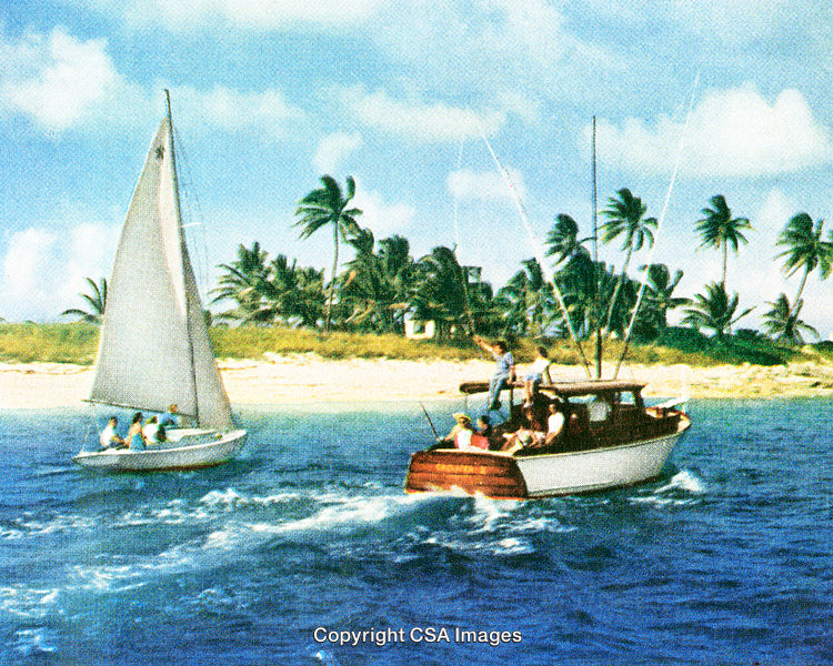 Boats Sailing Near A Tropical Beach With Palm Trees And Clear Skies
