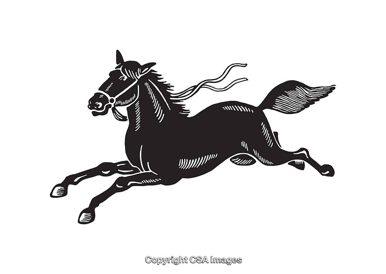 Black and White Line Art of a Galloping Horse Illustration