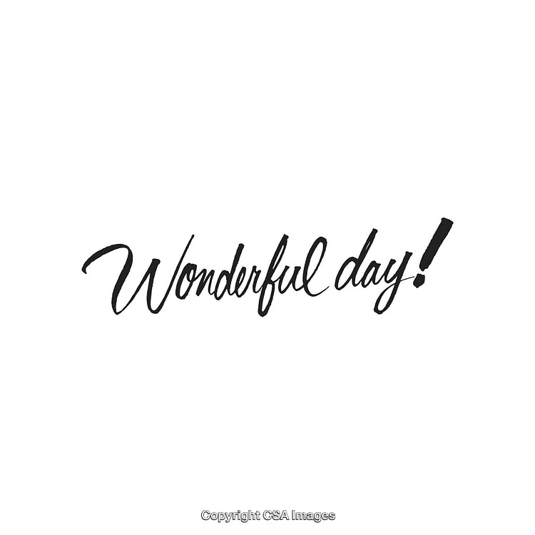 Handwritten Script Text Displaying 'Wonderful Day' in Elegant Black Calligraphy