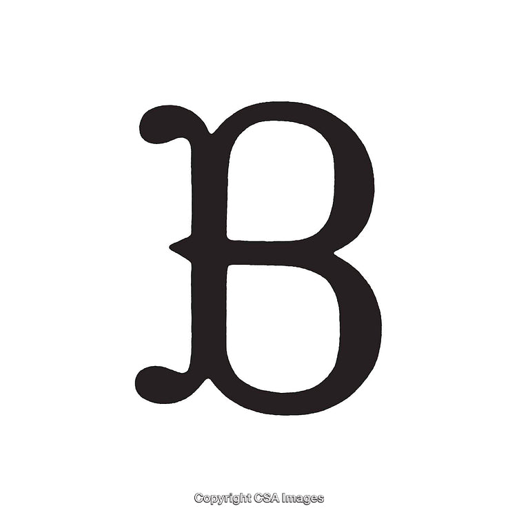 Elegant Bold Letter B in Black on White Background