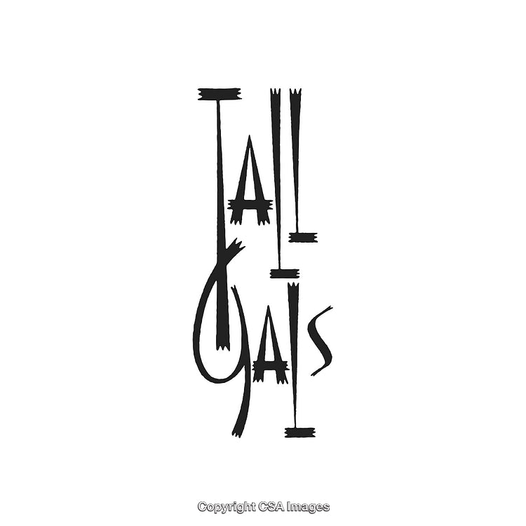 Artistic Typography with Modern Calligraphy Design in Black and White