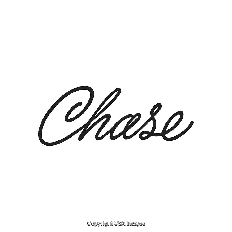 Elegant Scripted Word Design with Minimalist Style and Calligraphic Aesthetics