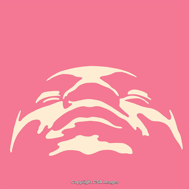 Abstract Pink and Beige Line Art with Organic Shapes