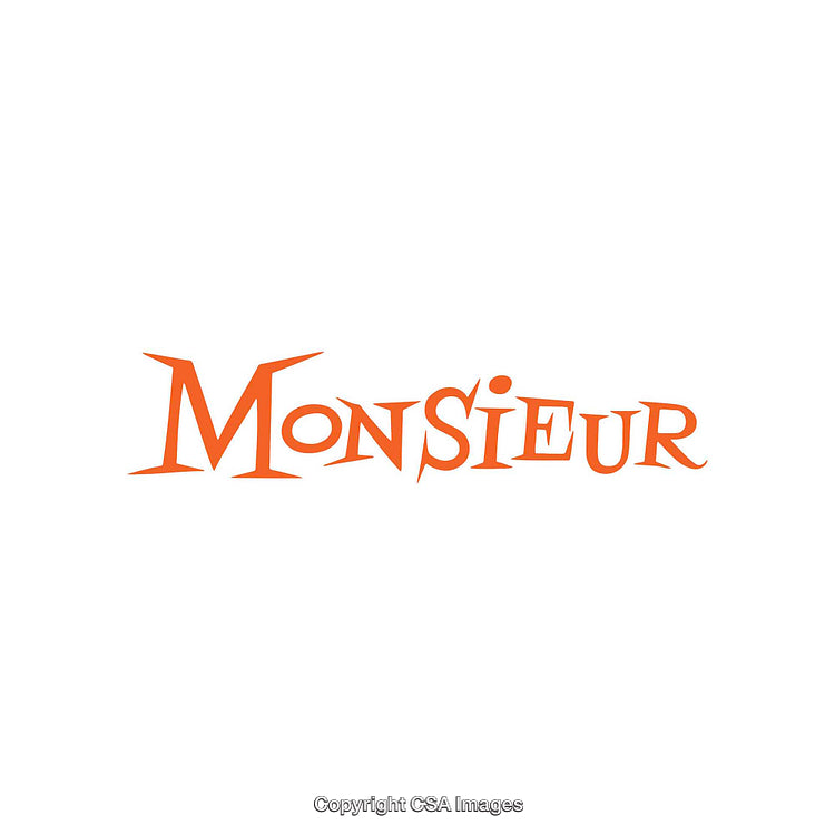 Dynamic Typography Display Featuring the Word 'Monsieur' in Orange