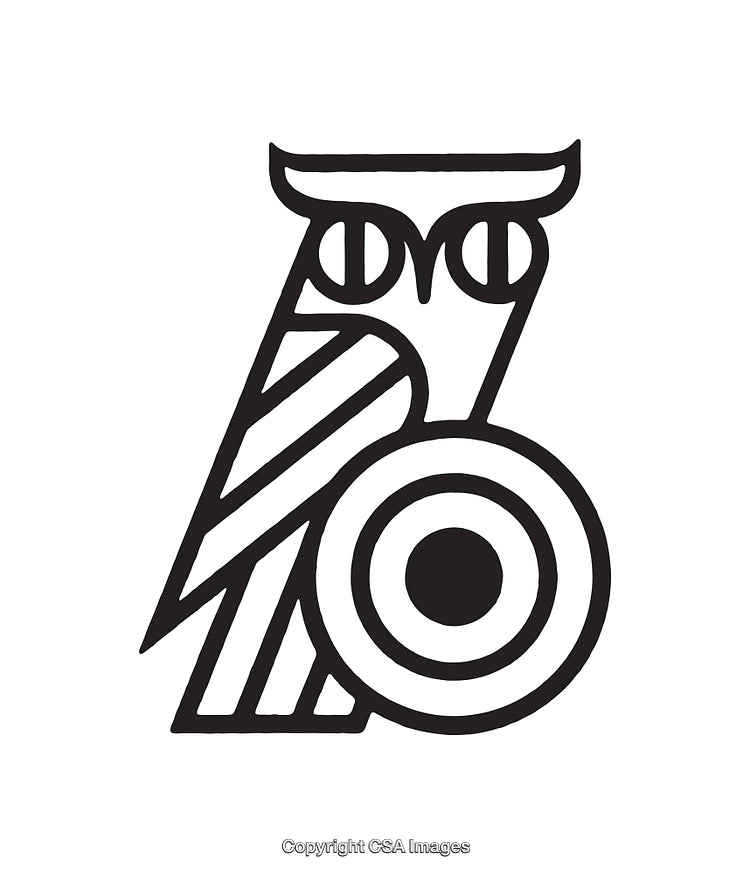 Minimalistic Black and White Line Art of an Owl Symbol