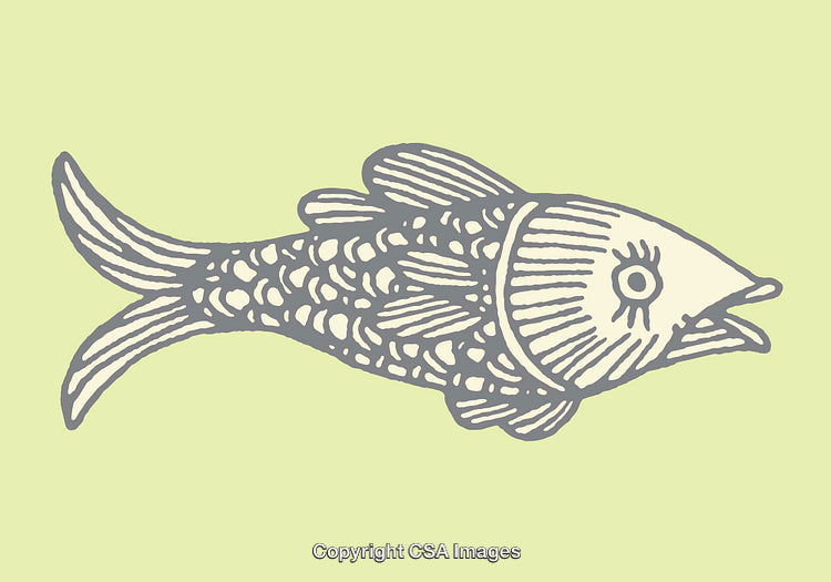 Hand-Drawn Illustration of a Fish in a Stylized Design on Green Background