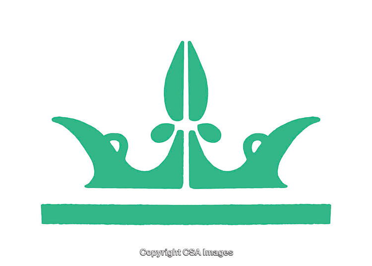 Green Crown Icon Illustration on a White Background