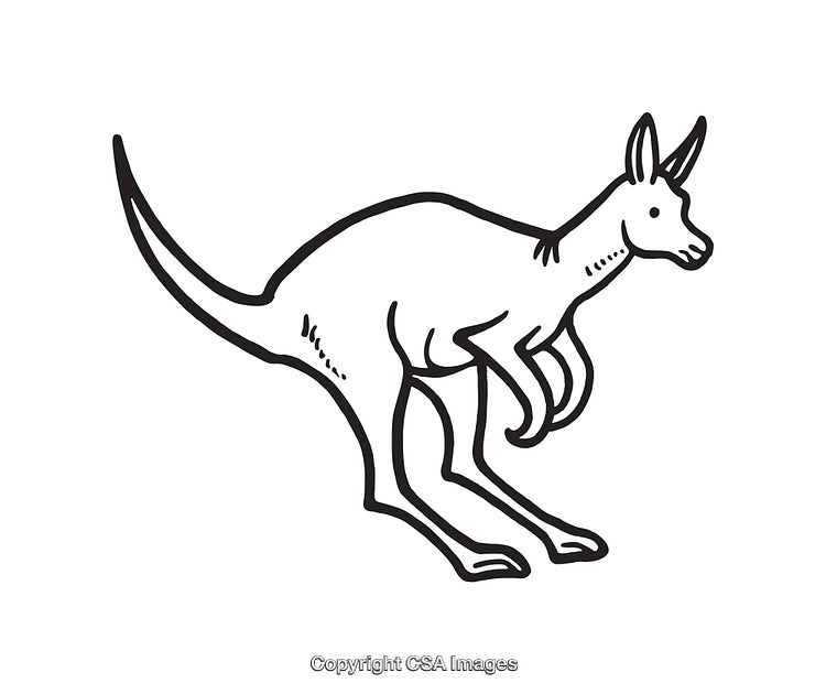 Black and White Line Art of Kangaroo Illustration in Minimalist Style