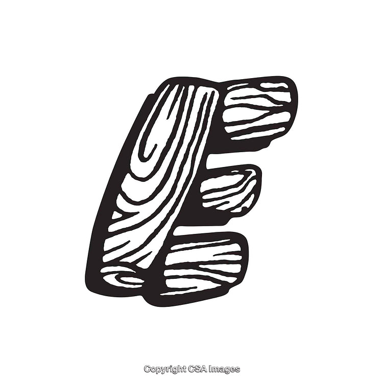 Monochrome Decorative Letter E with Wooden Texture and Artistic Design