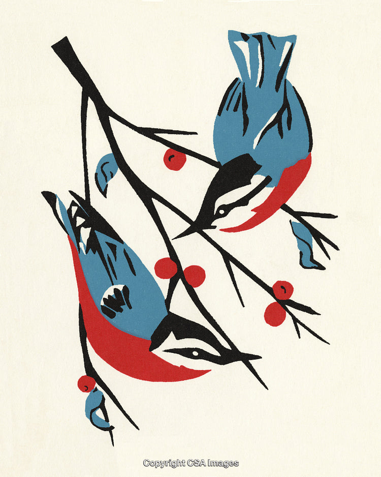 Artistic Illustration of Birds Perched on Branches with Red Berries