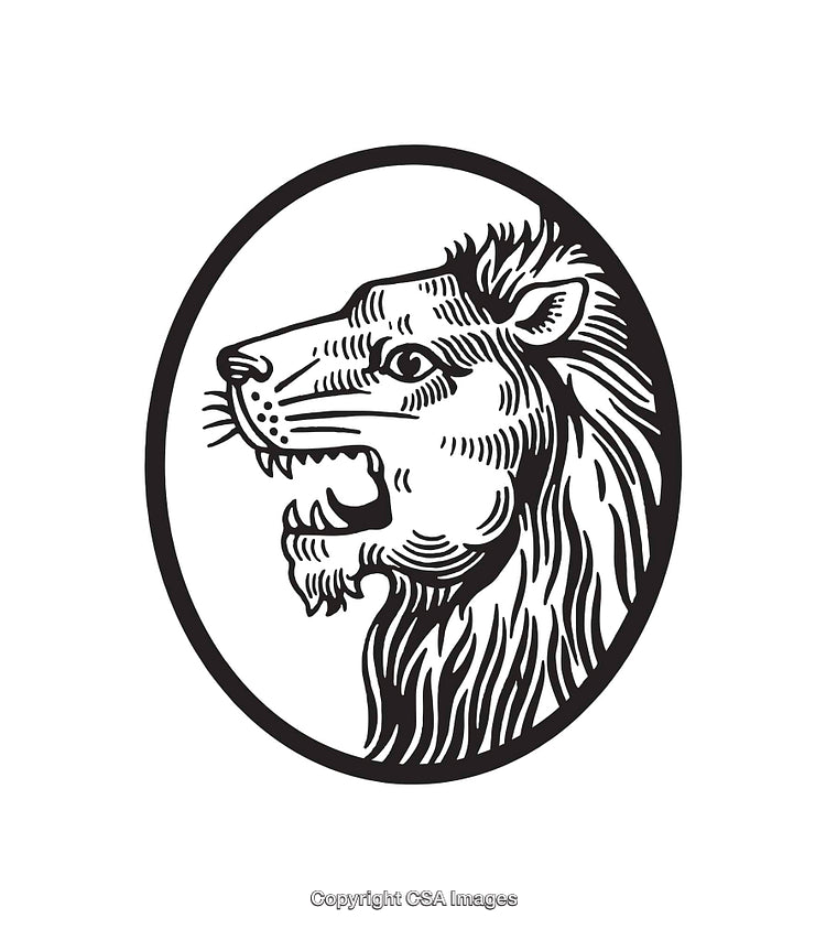 Detailed Black and White Lion Line Art Illustration in Circular Frame