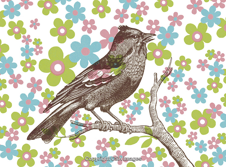 Vintage Bird Illustration with Floral Patio Background Design