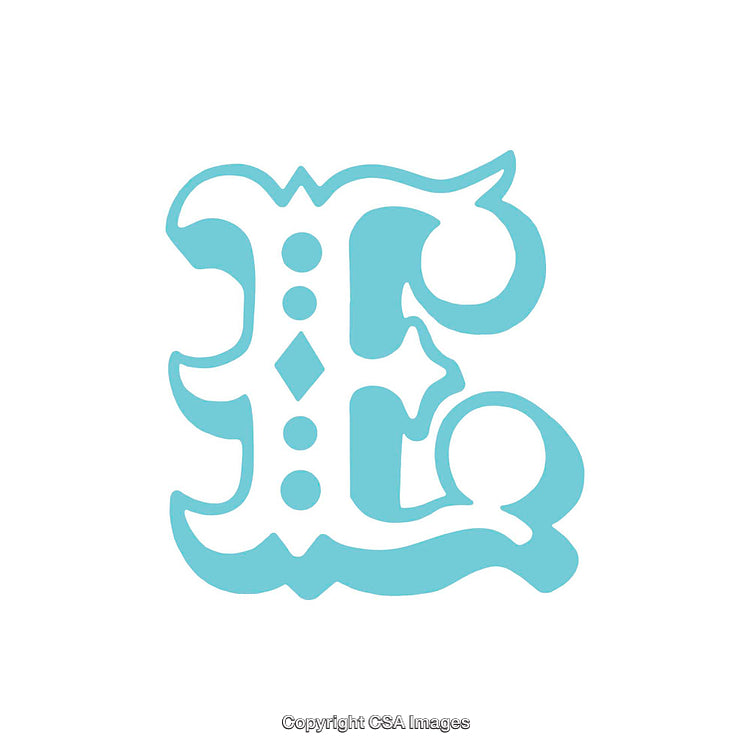Elegant Ornamental Letter E in Light Blue on White Background