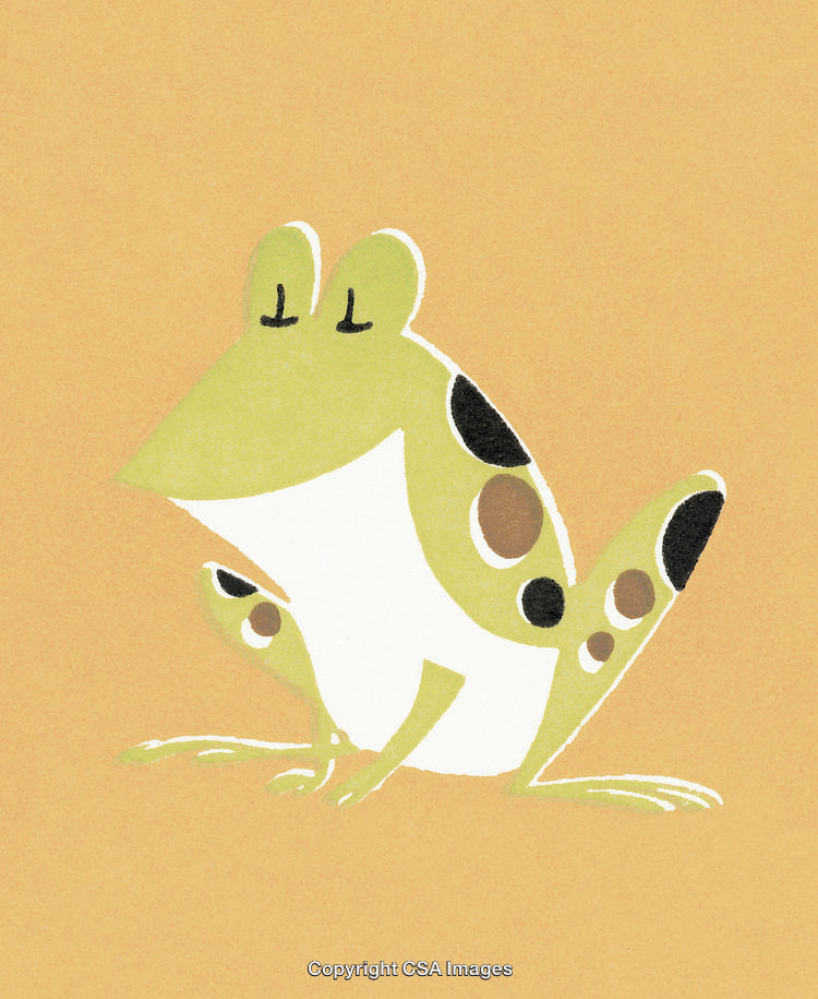 Colorful Cartoon Frog Illustration on Yellow Background with Simple Geometric Shapes