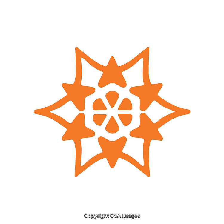 Unique Orange Geometric Dingbat With Star and Floral Motif