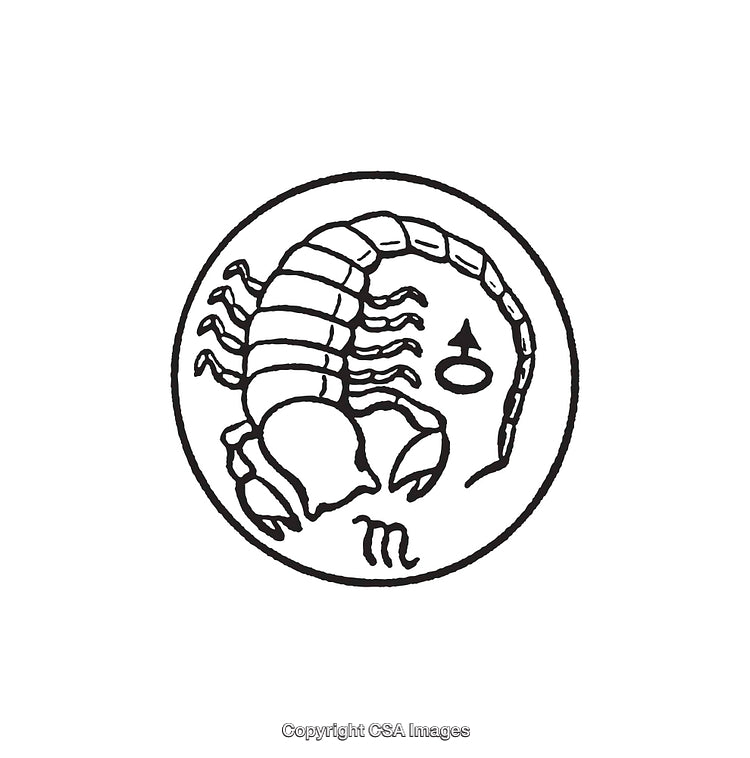 Scorpio Zodiac Sign Black and White Line Art Illustration with Symbol