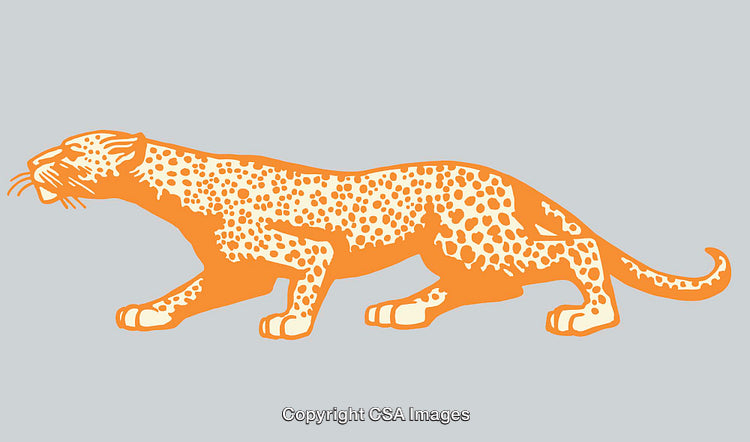 Stylized Color Line Art Illustration of a Leopard in Motion