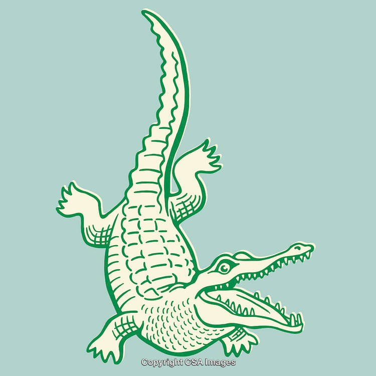 Illustration of a Crocodile in a Green Outline on a Blue Background